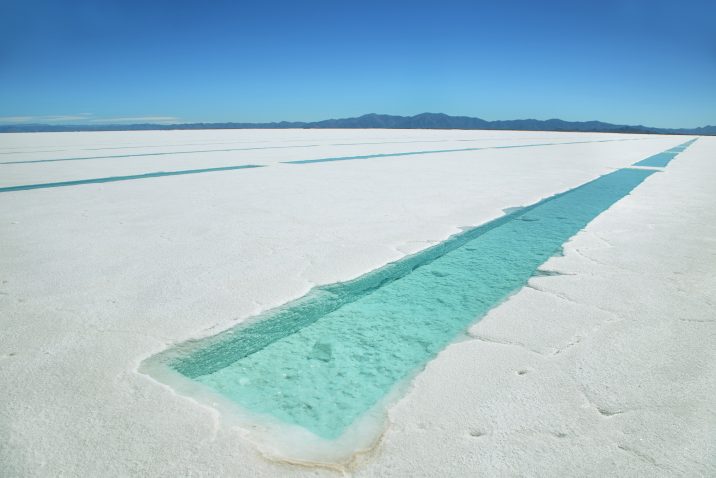 litio Argentina