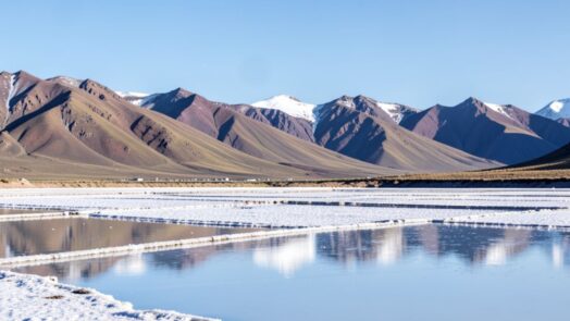 Salinas de la Puna argentina con montañas al fondo, donde se forman salmueras ricas en litio