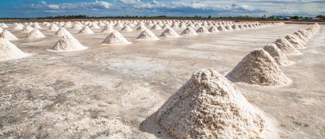 Unidad piloto de Extracción Directa de Litio (DLE) en el proyecto Sal de Vida, Catamarca.