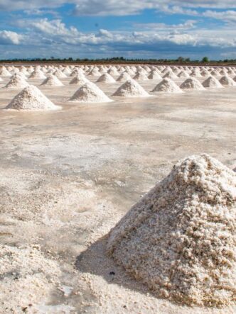 Unidad piloto de Extracción Directa de Litio (DLE) en el proyecto Sal de Vida, Catamarca.