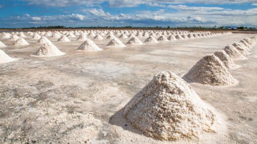 Unidad piloto de Extracción Directa de Litio (DLE) en el proyecto Sal de Vida, Catamarca.