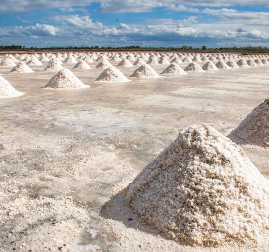 Unidad piloto de Extracción Directa de Litio (DLE) en el proyecto Sal de Vida, Catamarca.