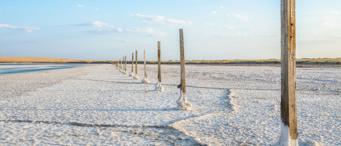 El proceso de Extracción Directa de Litio (DLE) reduce el ciclo de obtención de carbonato de litio a tan solo una semana, otorgando a las operadoras una capacidad de respuesta inmediata ante las fluctuaciones de la demanda global.