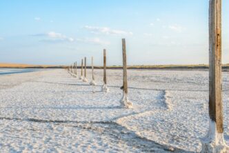 El proceso de Extracción Directa de Litio (DLE) reduce el ciclo de obtención de carbonato de litio a tan solo una semana, otorgando a las operadoras una capacidad de respuesta inmediata ante las fluctuaciones de la demanda global.