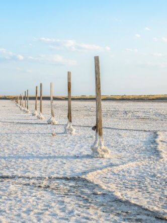 El proceso de Extracción Directa de Litio (DLE) reduce el ciclo de obtención de carbonato de litio a tan solo una semana, otorgando a las operadoras una capacidad de respuesta inmediata ante las fluctuaciones de la demanda global.