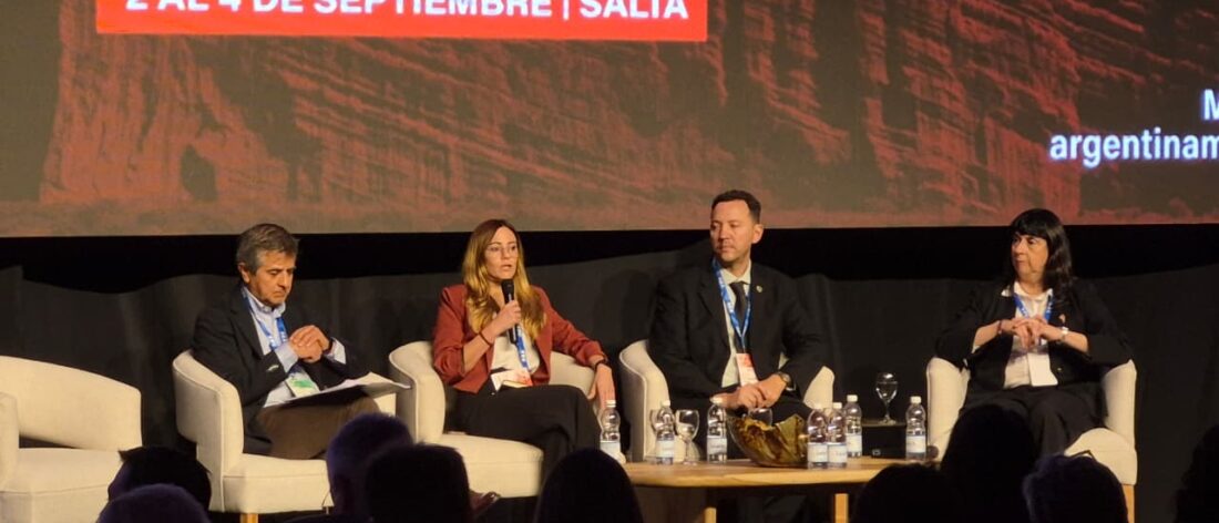 Representantes de Salta, Jujuy y Catamarca participan de la Mesa del Litio en Argentina Mining 2026, en el Centro de Convenciones de Salta.